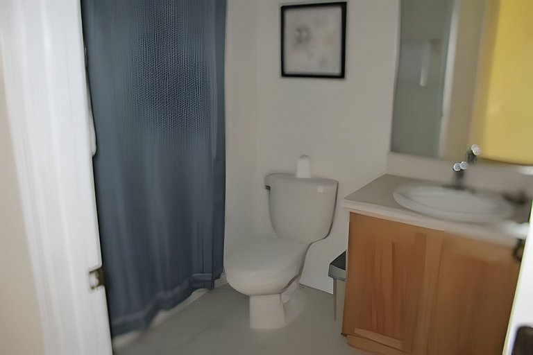 Short Term Vacation Rental Pool Home near Disney & malls