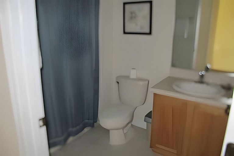 Short Term Vacation Rental Pool Home near Disney & malls