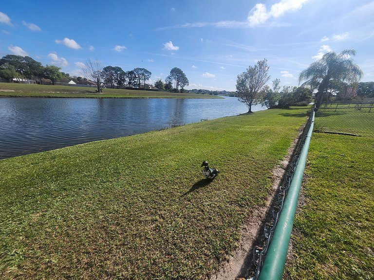 Short Term Vacation Rental Pool Home near Disney & malls
